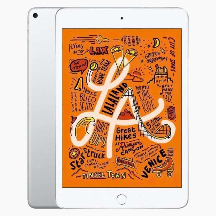iPad Mini 5 256 GB 4G