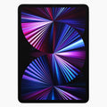 iPad Pro 11 2021 256 GB