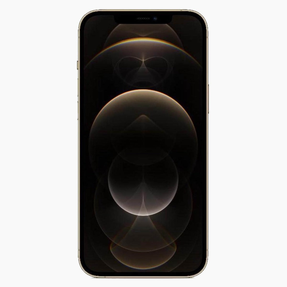 iPhone 12 Pro Max 256GB